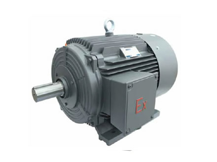 1MT0011 粉塵防爆電機(jī)